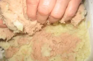 Milcao dough