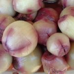 Chilean Pickled Onions Recipe