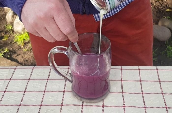 Chilean Pink Panther Cocktail Recipe