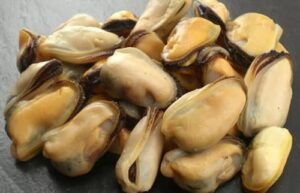 Fresh mussels A pile of clean, black mussels ready to be boiled to create the primary cooking broth.