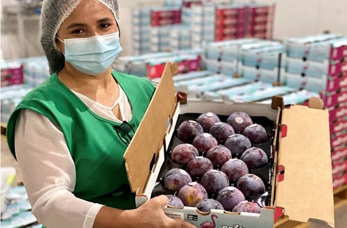 The New Queen of Chilean Plums