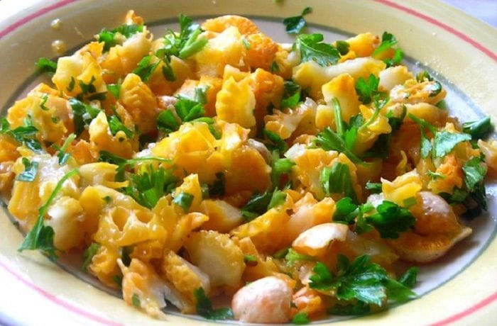 Chilean Mushrooms Digüeñes Salad Recipe
