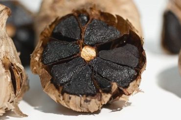 Homemade Chilote Black Garlic Recipe