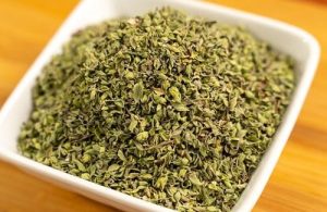 oregano oregano