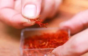 saffron Saffron