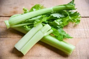 Fresh celery Fresh celery
