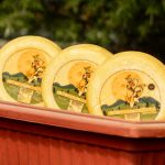 Premium Chilean Cheeses