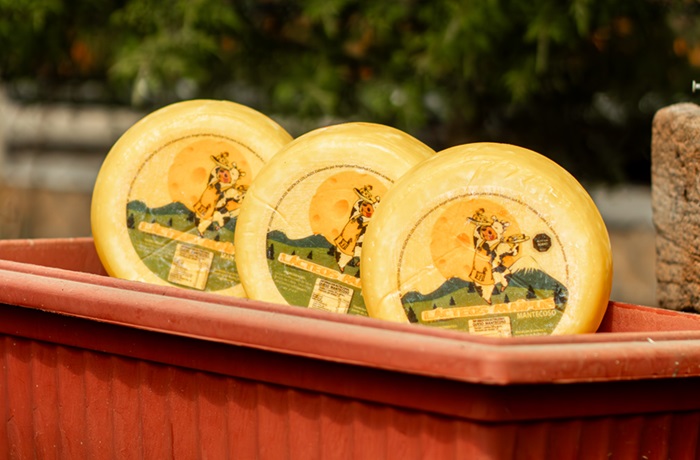 Premium Chilean Cheeses