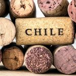 Chilean Wine Day