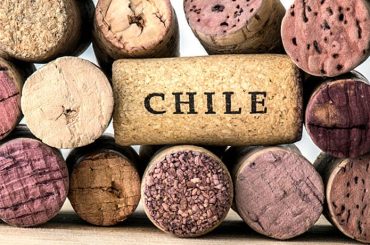 Chilean Wine Day