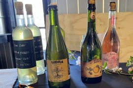 Chilean Ciders