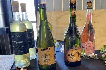 Chilean Ciders