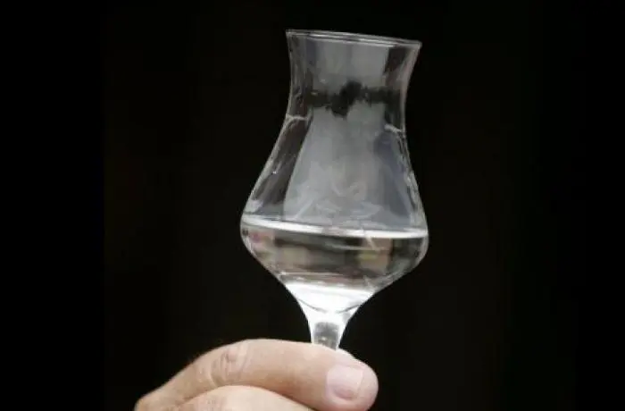 Chilean Pisco Designation of Origin