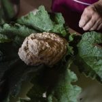 Chuañe or Mella Chilote Recipe