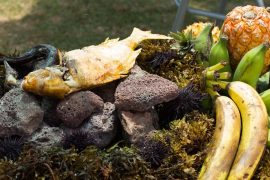 Traditional Recipe for Pascuense Umu Ta’o