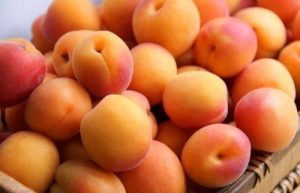 Fresh halved apricots macerating with sugar in a bowl to release their natural juices overnight.