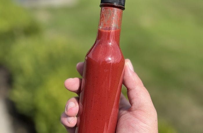 Chilean fermented ají cacho de cabra hot sauce in a glass bottle — lacto-fermented red chili sauce with apple cider vinegar
