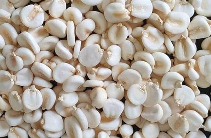 Step 3 — Hominy corn (mote) cooked with potatoes and added to the calapurca broth Dried hominy corn (mote de maíz pelado) — a key ingredient in the traditional Chilean calapurca Aymara soup