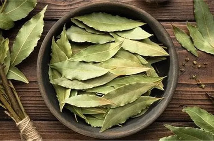 Fresh bay leaves placed under each hake fillet to infuse the fish with herb aroma during roasting