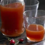 Chilean Mapuche rosehip chicha — traditional fermented rosa mosqueta drink in a clay vessel
