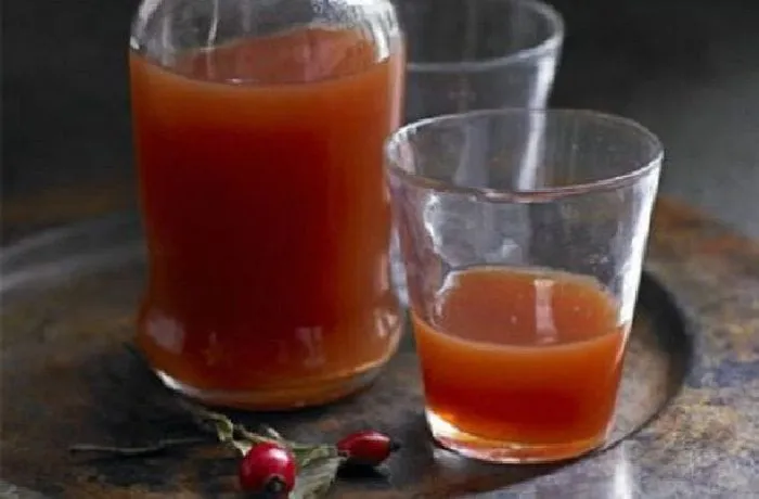 Chilean Mapuche rosehip chicha — traditional fermented rosa mosqueta drink in a clay vessel