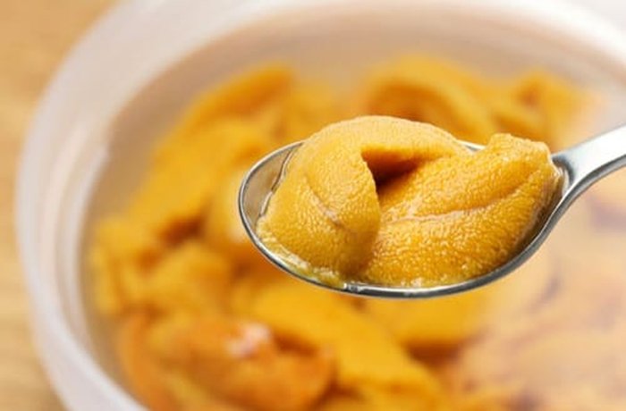 Intensely orange Chilean sea urchin tongues arranged in a bowl, ready to be blended into the creamy sauce.