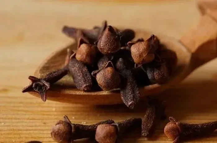 Cloves and aromatic spices used in Araucano-style herbal bitter