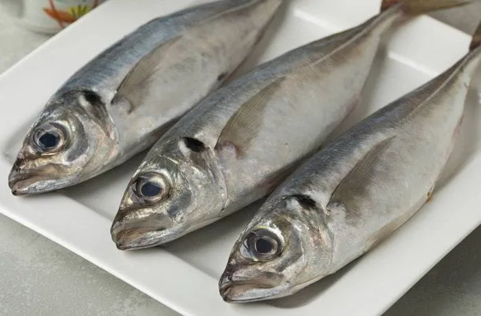 Fresh whole jack mackerel (jureles) scored diagonally on both sides before baking — the scoring allows garlic and seasoning to penetrate the flesh