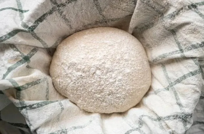 Pan copihue dough after first rise — doubled in volume, ready to shape into elongated loaves