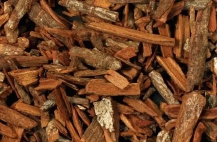 Quina bark and dried botanicals for Chilean herbal bitter maceration