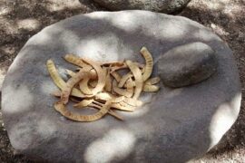 Chilean cachintor — traditional Atacama carob pod drink served in a clay vessel