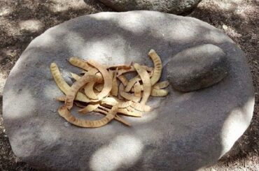 Chilean cachintor — traditional Atacama carob pod drink served in a clay vessel
