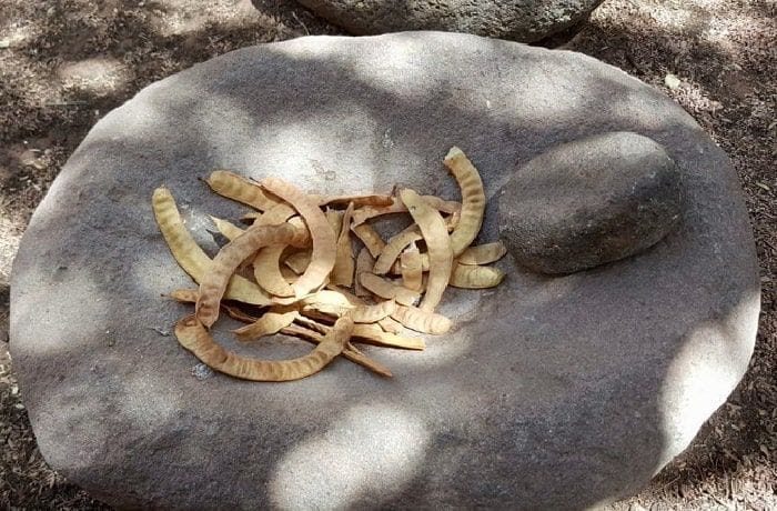 Chilean cachintor — traditional Atacama carob pod drink served in a clay vessel