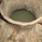 Chilean muday de arveja — traditional Mapuche pea chicha served in a clay menkuwe vessel