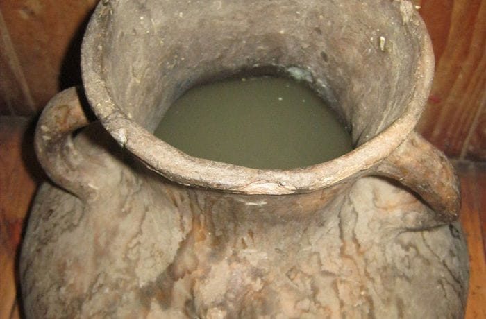 Chilean muday de arveja traditional Mapuche pea chicha served in a clay menkuwe vessel