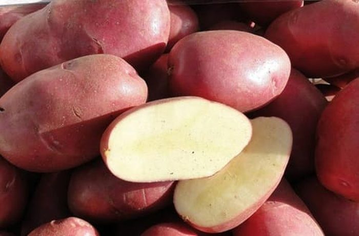 Puyehue potatoes cooked with skin for the pea and potato muday recipe