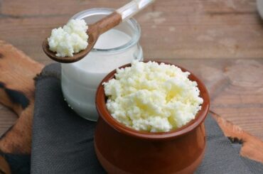 Chilean kefir milk kefir yogurt de pajaritos in a glass jar
