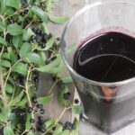 Glass bottle of deep purple Chilean maqui berry liqueur next to a small crystal glass full of the drink.