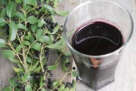 Glass bottle of deep purple Chilean maqui berry liqueur next to a small crystal glass full of the drink.