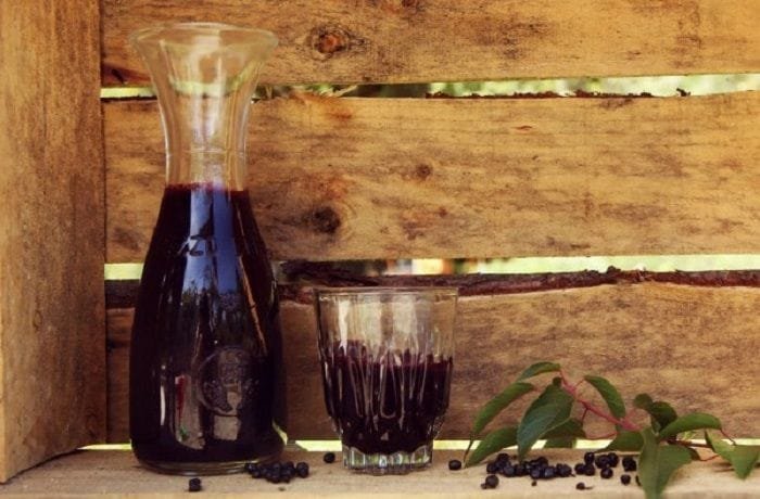 Chilean maqui chicha, the deep purple Mapuche fermented berry drink known as treco