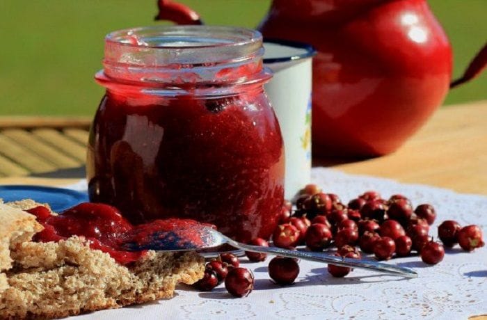 Chilean Murta Berry Jam — Homemade Organic Murtilla Jam Recipe Chilean Murta Berry Jam — Homemade Organic Murtilla Jam Recipe