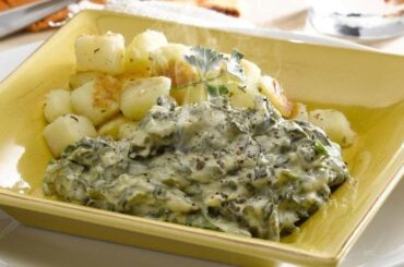 Dish of creamy Chilean Swiss chard stew with bright green leaves in a white sauce and melted cheese on top