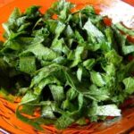 Chilean romaza salad with chopped wild dock leaves