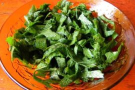 Chilean romaza salad with chopped wild dock leaves