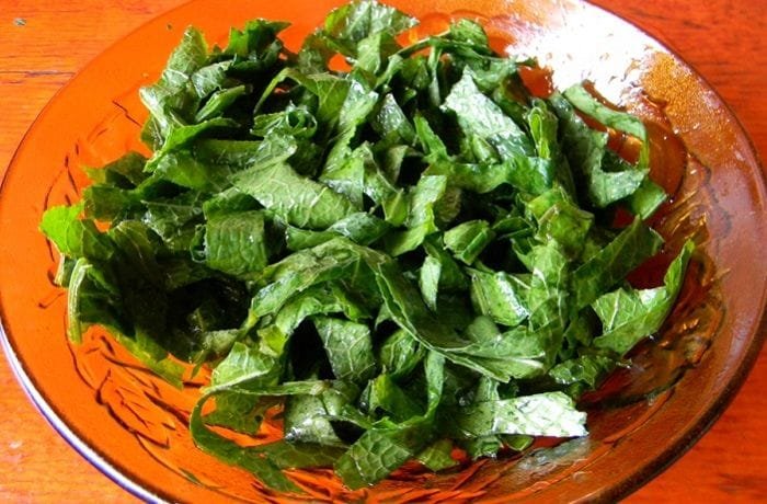 Chilean romaza salad with chopped wild dock leaves