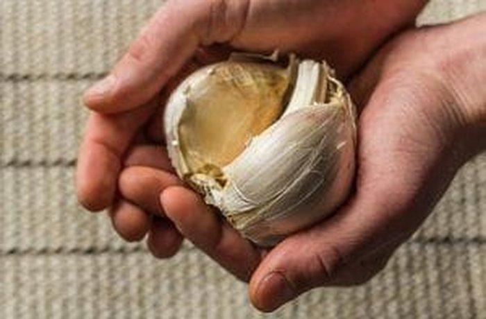 Peeled and halved giant Chilote garlic cloves