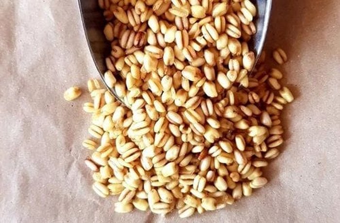 Cooked, peeled wheat berries (mote), ready to be cooked into the risotto.