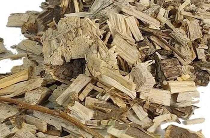 Dried culen sprigs, the medicinal Chilean herb used to infuse the ponche.