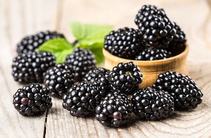 Fresh Chilean blackberries, or murras, with sugar in a bowl, ready to macerate for jam