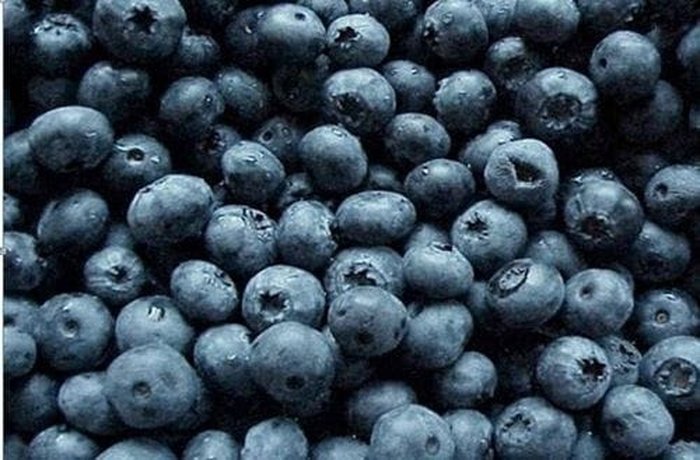 Fresh calafate berries, used to garnish the cocktail and make the liqueur or syrup.
